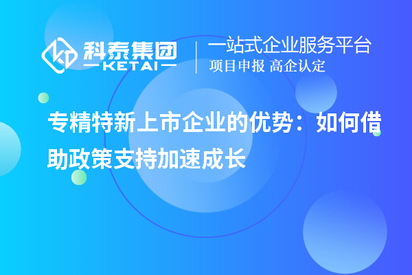 專精特新上市企業的優勢：如何借助政策支持加速成長