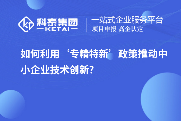 如何利用‘專精特新’政策推動中小企業(yè)技術(shù)創(chuàng)新?