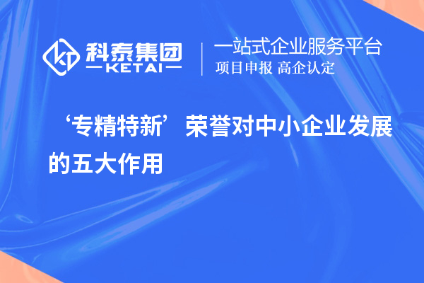 ‘專精特新’榮譽對中小企業發展的五大作用