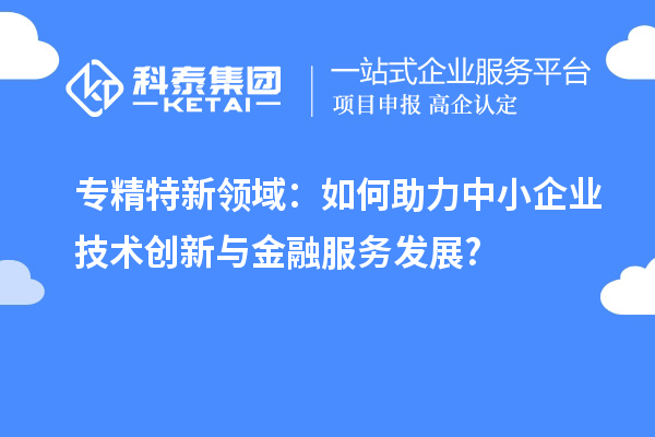 專精特新領域：如何助力中小企業技術創新與金融服務發展?