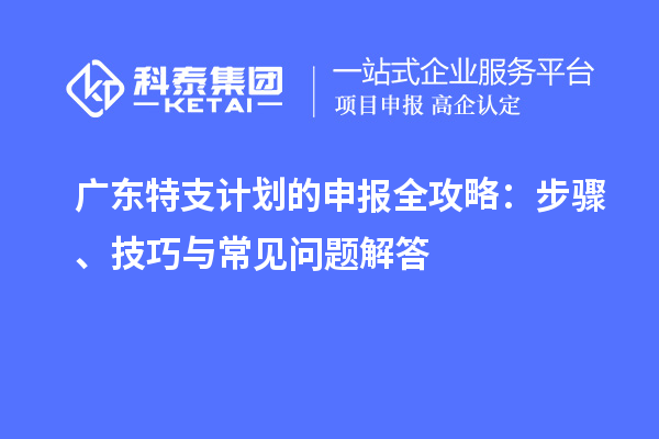 廣東特支計劃的申報全攻略：步驟、技巧與常見問題解答