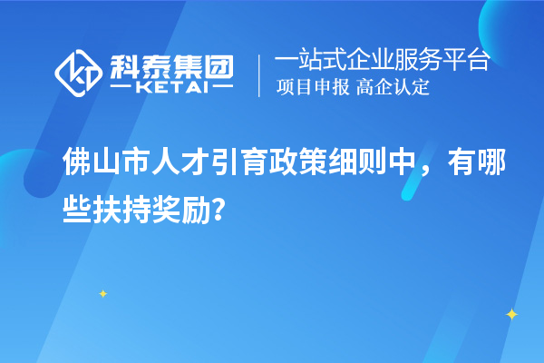 佛山市人才引育政策細則中，有哪些扶持獎勵？