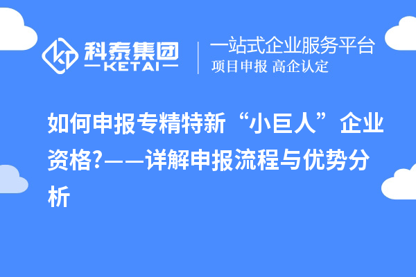 如何申報專精特新“小巨人”企業資格?——詳解申報流程與優勢分析