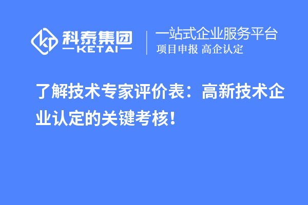 了解技術專家評價表：高新技術企業認定的關鍵考核！