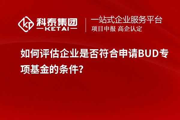 如何評估企業是否符合申請BUD專項基金的條件？