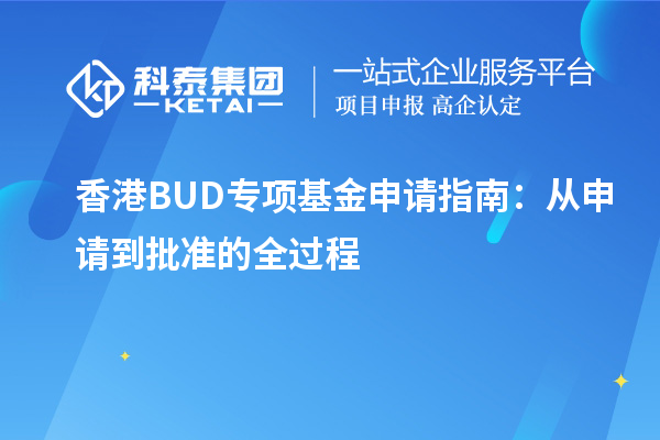 香港BUD專項基金申請指南：從申請到批準的全過程