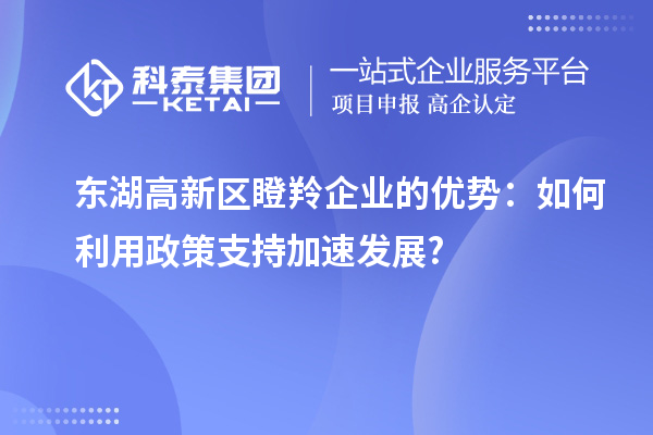 東湖高新區瞪羚企業的優勢：如何利用政策支持加速發展?