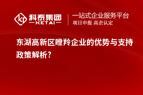 東湖高新區瞪羚企業的優勢與支持政策解析?