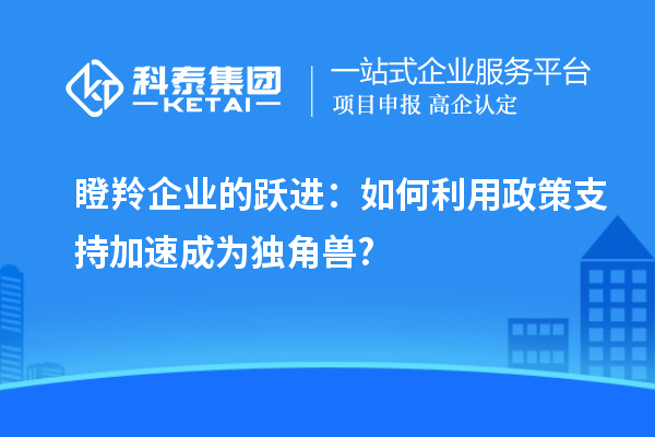 瞪羚企業的躍進：如何利用政策支持加速成為獨角獸?