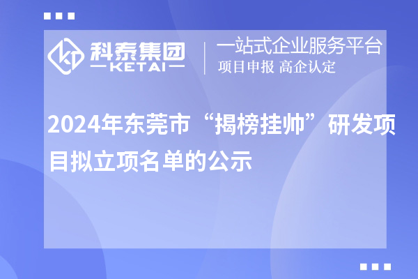 2024年東莞市“揭榜掛帥”研發項目擬立項名單的公示