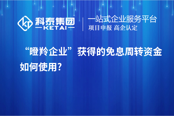 “瞪羚企業”獲得的免息周轉資金如何使用?