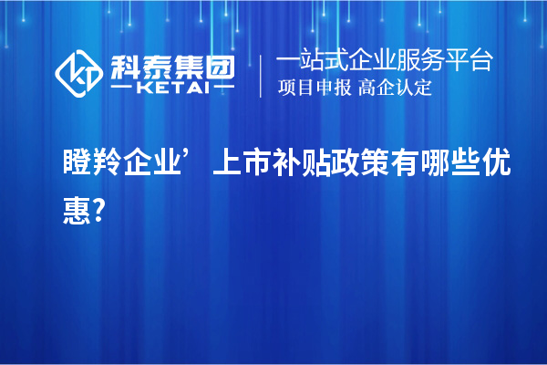 瞪羚企業’上市補貼政策有哪些優惠?