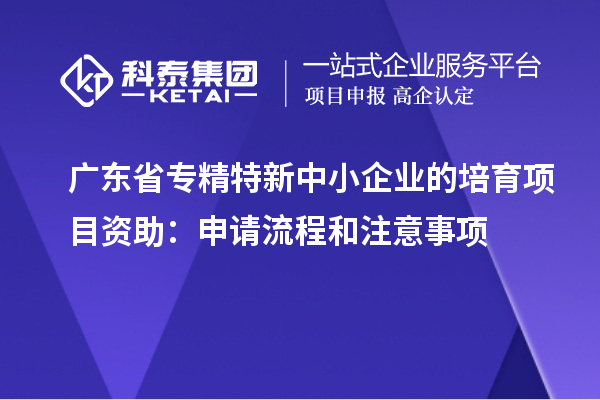 廣東省專精特新中小企業的培育項目資助：申請流程和注意事項