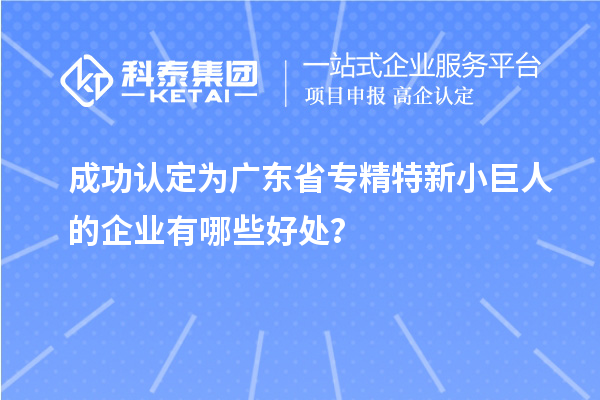 成功認(rèn)定為廣東省專精特新小巨人的企業(yè)有哪些好處？