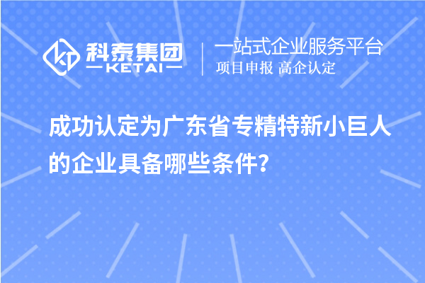 成功認(rèn)定為廣東省專精特新小巨人的企業(yè)具備哪些條件？