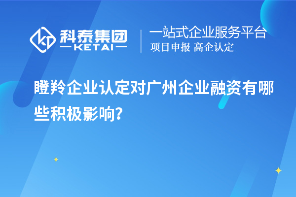 瞪羚企業(yè)認定對廣州企業(yè)融資有哪些積極影響？