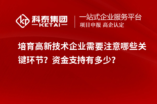 培育高新技術企業(yè)需要注意哪些關鍵環(huán)節(jié)？資金支持有多少？