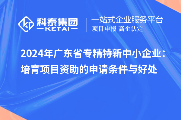 2024年廣東省專精特新中小企業：培育項目資助的申請條件與好處