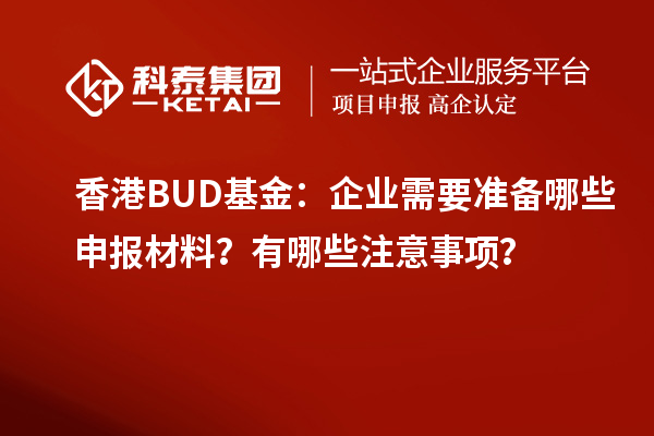 香港BUD基金：企業需要準備哪些申報材料？有哪些注意事項？