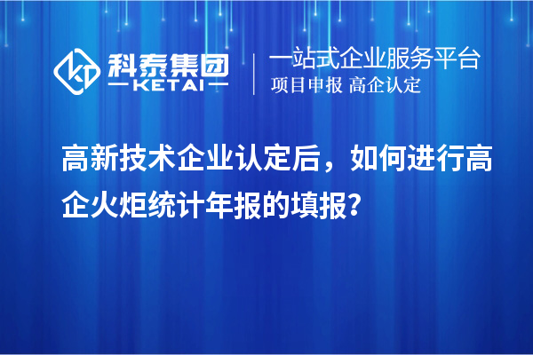 高新技術企業認定后，如何進行高企火炬統計年報的填報？