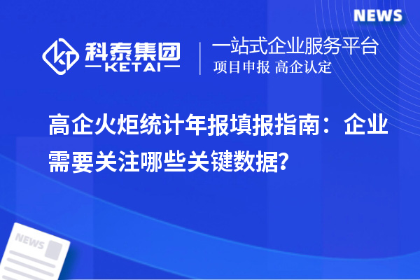 高企火炬統(tǒng)計(jì)年報(bào)填報(bào)指南：企業(yè)需要關(guān)注哪些關(guān)鍵數(shù)據(jù)？