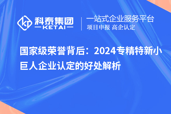 國家級榮譽背后：2024專精特新小巨人企業認定的好處解析