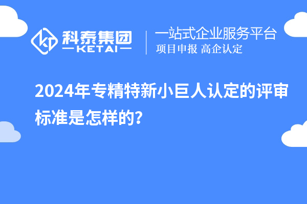 2024年專精特新小巨人認定的評審標準是怎樣的？