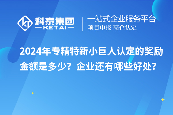 2024年專精特新小巨人認定的獎勵金額是多少？企業還有哪些好處？