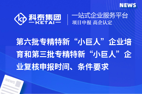 第六批專精特新“小巨人”企業培育和第三批專精特新“小巨人”企業復核申報時間、條件要求、補助獎勵