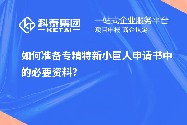 如何準備專精特新小巨人申請書中的必要資料？