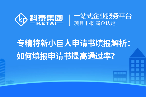 專精特新小巨人申請書填報解析：如何填報申請書提高通過率？