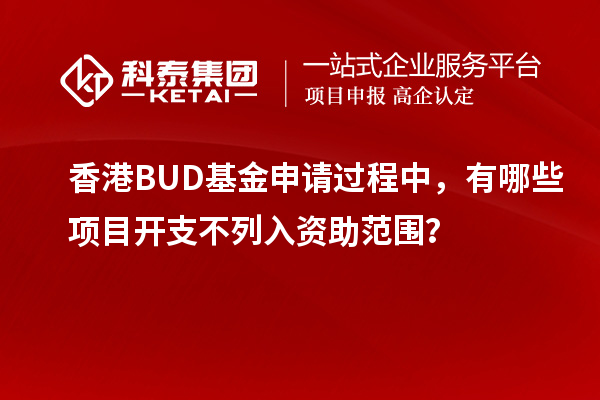 香港BUD基金申請過程中，有哪些項目開支不列入資助范圍？