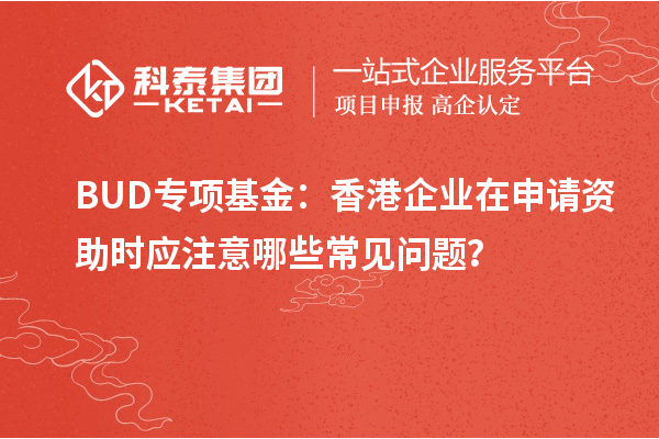 BUD專項基金：香港企業在申請資助時應注意哪些常見問題？