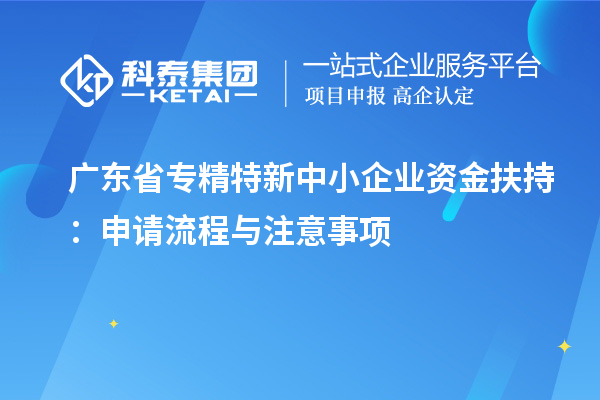 廣東省專精特新中小企業(yè)資金扶持：申請流程與注意事項