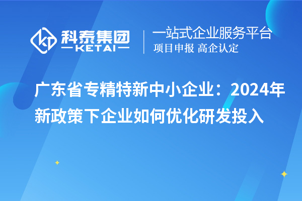 廣東省專精特新中小企業：2024年新政策下企業如何優化研發投入