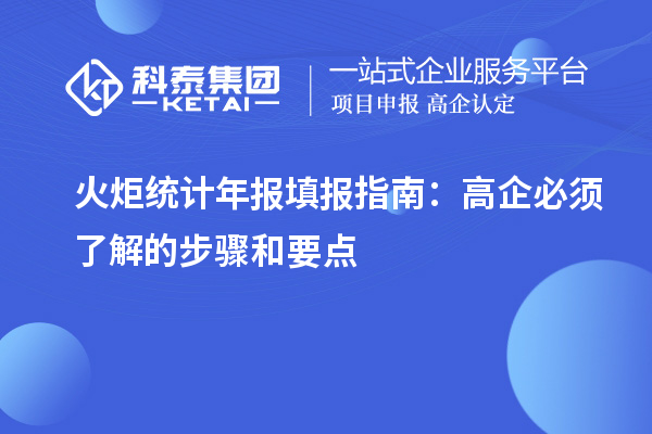 火炬統計年報填報指南：高企必須了解的步驟和要點