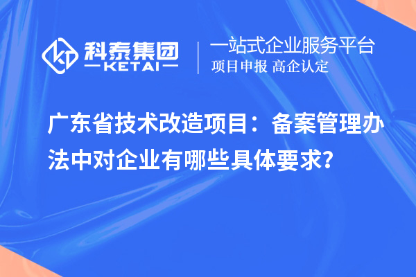 廣東省技術改造項目：備案管理辦法中對企業有哪些具體要求？