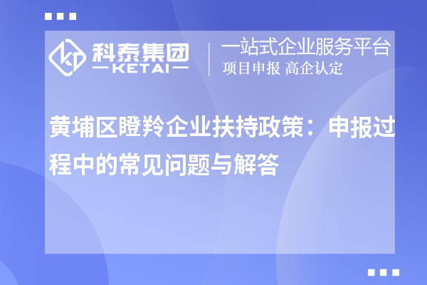 黃埔區(qū)瞪羚企業(yè)扶持政策：申報過程中的常見問題與解答