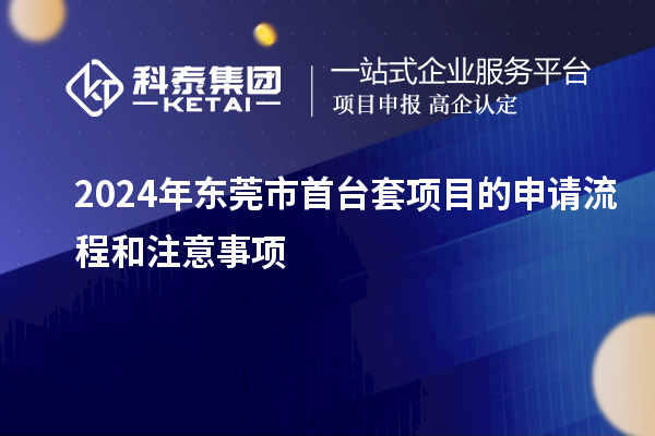 2024年東莞市首臺套項目的申請流程和注意事項