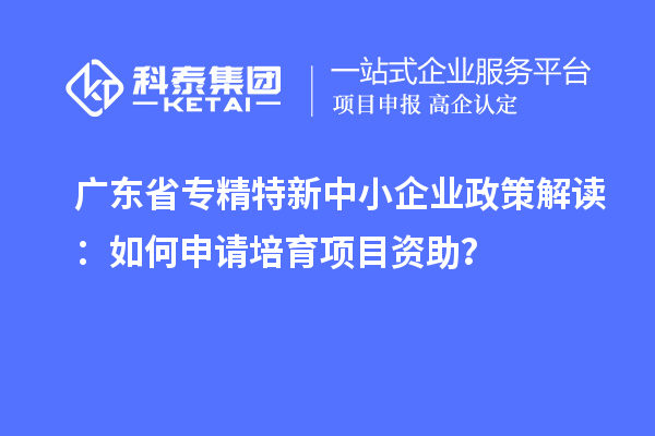 廣東省專精特新中小企業政策解讀：如何申請培育項目資助？