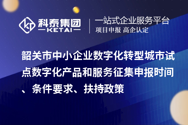 韶關市中小企業數字化轉型城市試點數字化產品和服務征集申報時間、條件要求、扶持政策