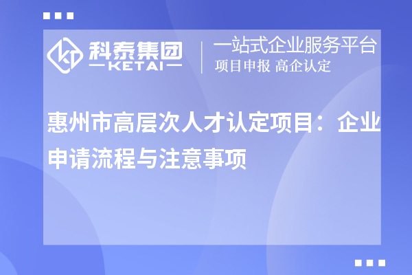 惠州市高層次人才認定項目：企業申請流程與注意事項