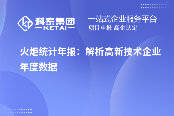 火炬統計年報：解析高新技術企業年度數據