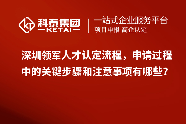 深圳領軍人才認定流程，申請過程中的關鍵步驟和注意事項有哪些？