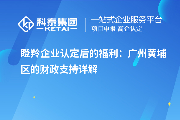 瞪羚企業(yè)認定后的福利：廣州黃埔區(qū)的財政支持詳解