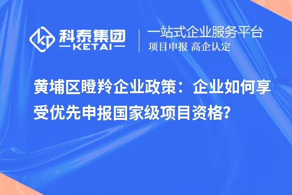 黃埔區瞪羚企業政策：企業如何享受優先申報國家級項目資格？