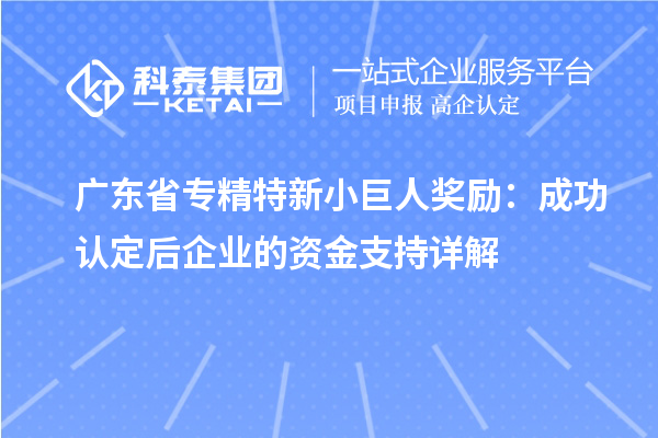 廣東省專精特新小巨人獎勵：成功認定后企業的資金支持詳解