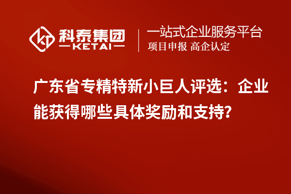 廣東省專精特新小巨人評選：企業能獲得哪些具體獎勵和支持？