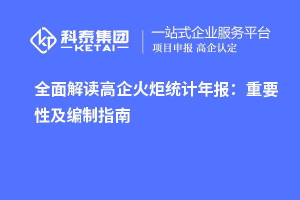 全面解讀高企火炬統計年報：重要性及編制指南