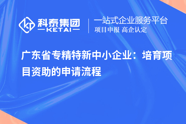 廣東省專精特新中小企業：培育項目資助的申請流程